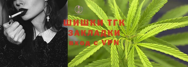 спайс Богданович