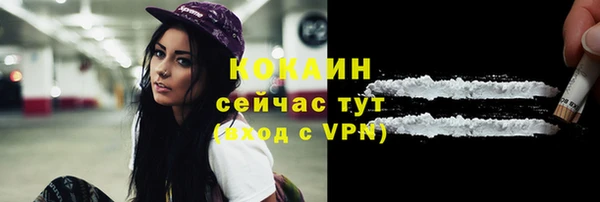 спайс Богданович
