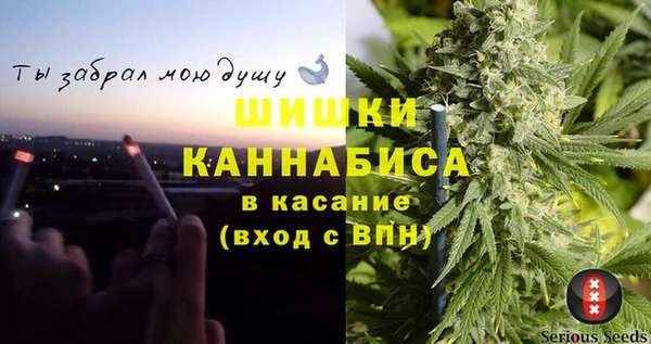 спайс Богданович