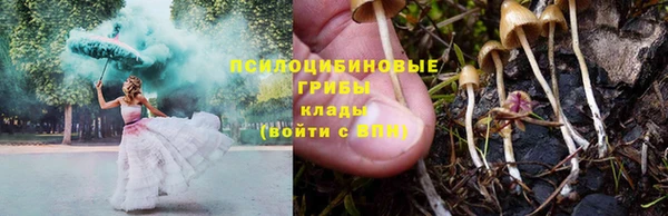 синтетический гашиш Богородск