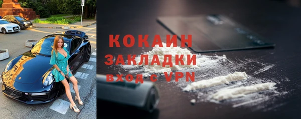 прущая мука Богородицк